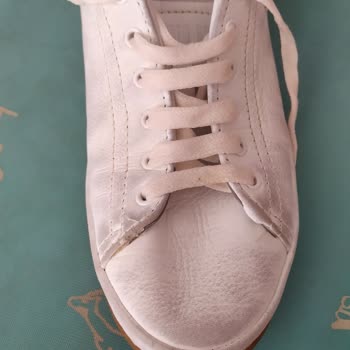 U.S. Polo Assn. Us. Polo Renk Atma