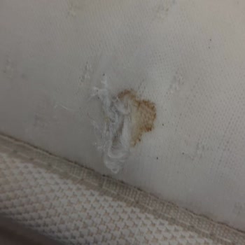 Öz Delibaşlar Bayi İdaş Yatak Pişmanlığı! Asla Değişim Yok Ürünün Arkasında Durmak Yok