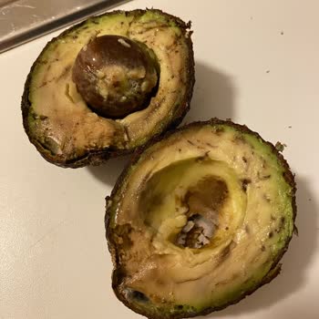 Migros Hemen 3 Adet Çürük Ürün Gönderdi