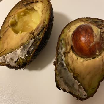 Migros Hemen 3 Adet Çürük Ürün Gönderdi