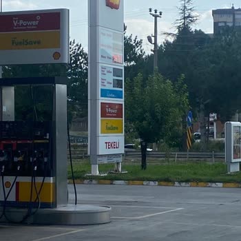 Shell Küflü Ve Tarihi Geçen Ürün Satışı
