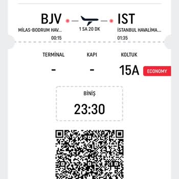 THY Biniş Kartı Eksik Ve Hatalı Bilgi Yüzünden Yanan Biletim