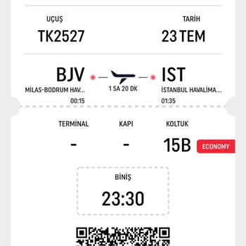 THY Biniş Kartı Eksik Ve Hatalı Bilgi Yüzünden Yanan Biletim