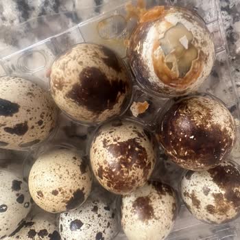 A101 Küflü Ve Kurtlu Yumurta