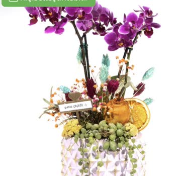 ÇiçekSepeti Adres Değişikliği Yaptığım Halde Çiçek Kapıya Bırakılıp Gidiliyor.