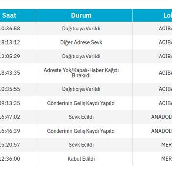 PTT Kargo Bütün Bu Yaşattığı Sıkıntılara Rağmen Neden Kapatılmıyor?