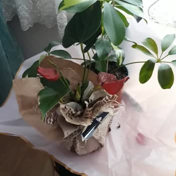 Çiçek Sepeti Ölü Çiçek Gönderdi