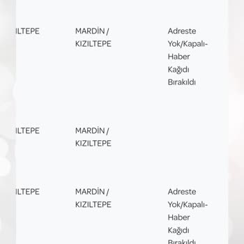 PTT Kargo Mardin Kızıltepe Şubesi