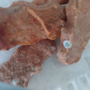 Gedik Piliç Küflü Ve Bozuk Piliç Köfte