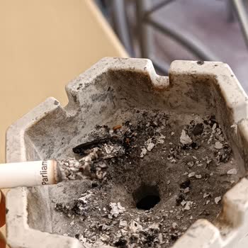 Philip Morris Tütün Değil Odun