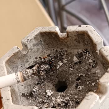 Philip Morris Tütün Değil Odun