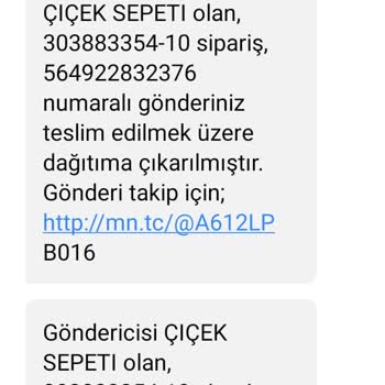 MNG Kargo Kargonun Teslim Edilememesi