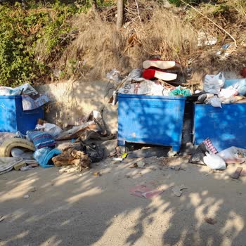 Üsküdar Belediyesi Mahalledeki İnsanlar Çöp Konteynerlarını Deviriyor