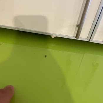 Vestel Buzdolabı Taşınma Sırasında Zarar Gördü Veya Zaten Hasarlıydı.