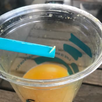 Caribou Coffee Portakal Suyunda Kurt