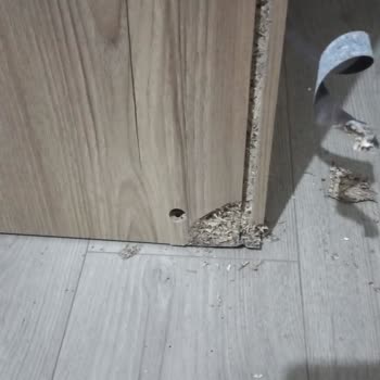 Vivense Eti Yatak Odası Takımı Mağduriyeti