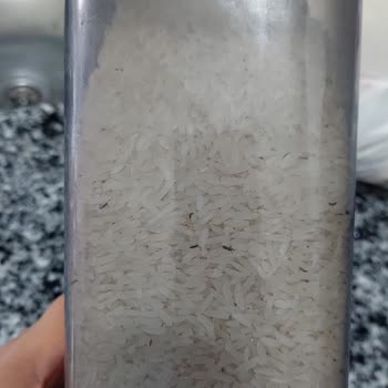 Yayla Pirinç Böceklenmiş!