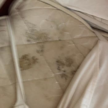 Club Pınara Otel Büyük Bir Hayal Kırıklığı, Çok Acil Denetlenmesi Gereken Bir Yer!