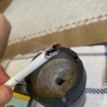 Philip Morris Sigaradan Çıkan Odun Parçaları