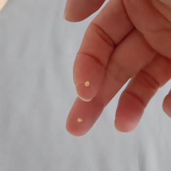 Kurtlanmış Kapalı Pakette Quik Kabuksuz Yem