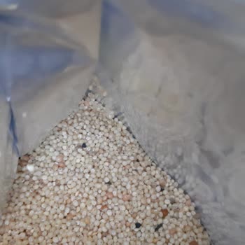 Kurtlanmış Kapalı Pakette Quik Kabuksuz Yem