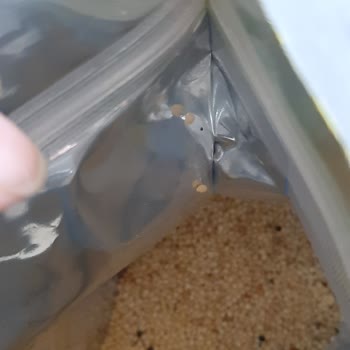 Kurtlanmış Kapalı Pakette Quik Kabuksuz Yem