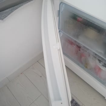 Bosch Buzdolabı Kapak Vidası