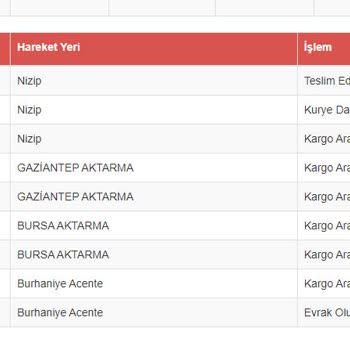 Sürat Kargo Ne Arıyorlar, Ne Teslim Ediyorlar