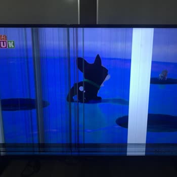 Vestel Servisi Şikayetçiyim Servis Ayrı Konuşuyor Bayi Ayrı