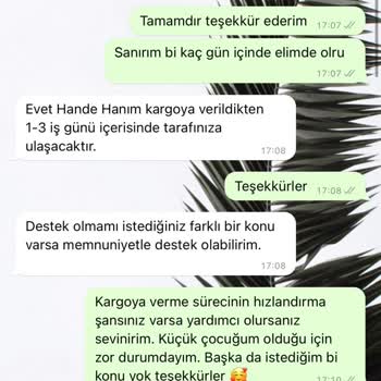 Dyson V15 Süpürge Sorunu