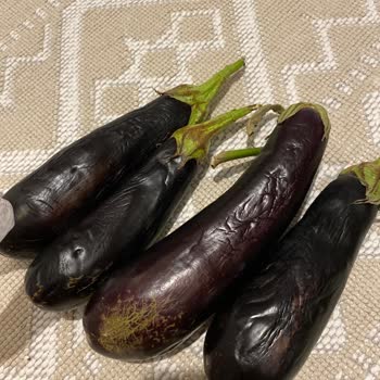 Sebze Meyve Dünyası Bozuk Verilen Sebzeler