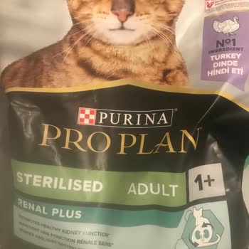 Pro Plan Kedi Maması Küflendi, SKT Si 06/24 Kedimde Yaralar Oluştu