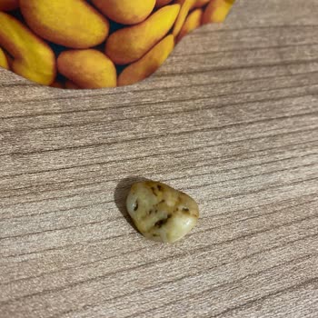 Çerezya'nın İçinden Yabancı Cisim Çıktı