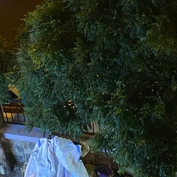 İçişleri Bakanlığı Cafer Ağa Cami Bankta Gece İnsanların Yatması Ve Çöp Arabası