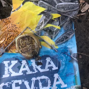 Gold Harvest Kuruyemiş Kara Sevda Çekirdeği İçerisinden Kavrulmuş Tuzlu Koyun Dışkısı Çıktı.