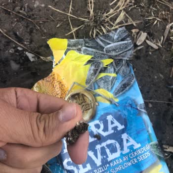 Gold Harvest Kuruyemiş Kara Sevda Çekirdeği İçerisinden Kavrulmuş Tuzlu Koyun Dışkısı Çıktı.