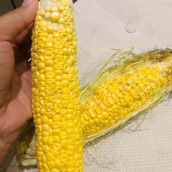 Migros Sanal Market Gönderilen Ürünlerin Çürük Olması