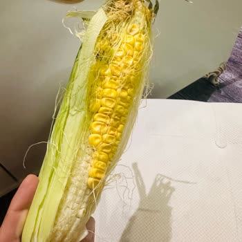 Migros Sanal Market Gönderilen Ürünlerin Çürük Olması