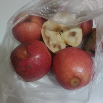 Migros Çürük Ürün Gönderiyorlar Bilerek İade Almıyorlar