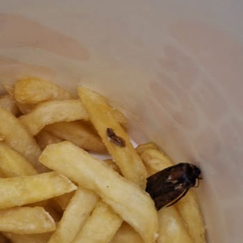 Burger King Temizlik Sorunu, Dönüş Yapılmaması