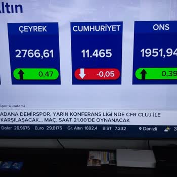 Samsung 75Q70C Panel Problemi