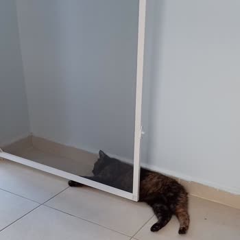 Akdeniz Elektrik Dağıtım Elektrik Yok