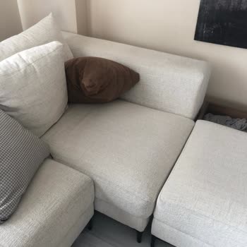 Alfemo Palermo Almak Pişmanlıkmış