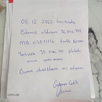 İzmir Vergi Dairesi Başkanlığı Yanlış Plakalı Araç Ödeme