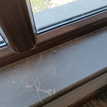 Armada Grannos Thermal Armada Grannos Hotel Pis Oda, Su Kesintisi, Ek Ücret Talebi Vs.