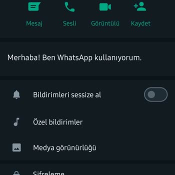 WhatsApp Yabancı Numara Mesajı