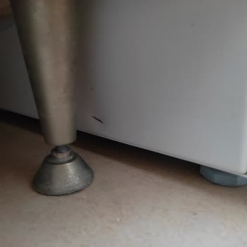 Bosch Marka Ürünler Ve İlgisizlik, Ayıplı Mal Satışı.