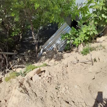 Aras Elektrik Dağıtım Aras Elektrik Bahçemize Zarar Verdi