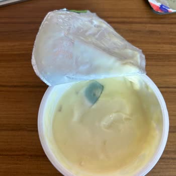 Sek Quark Küflü Yoğurt