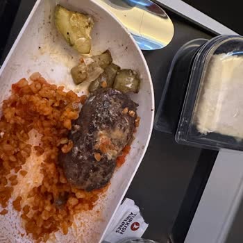 THY Yemekten Plastik Çıkması Ve Gida Zehirlenmesi